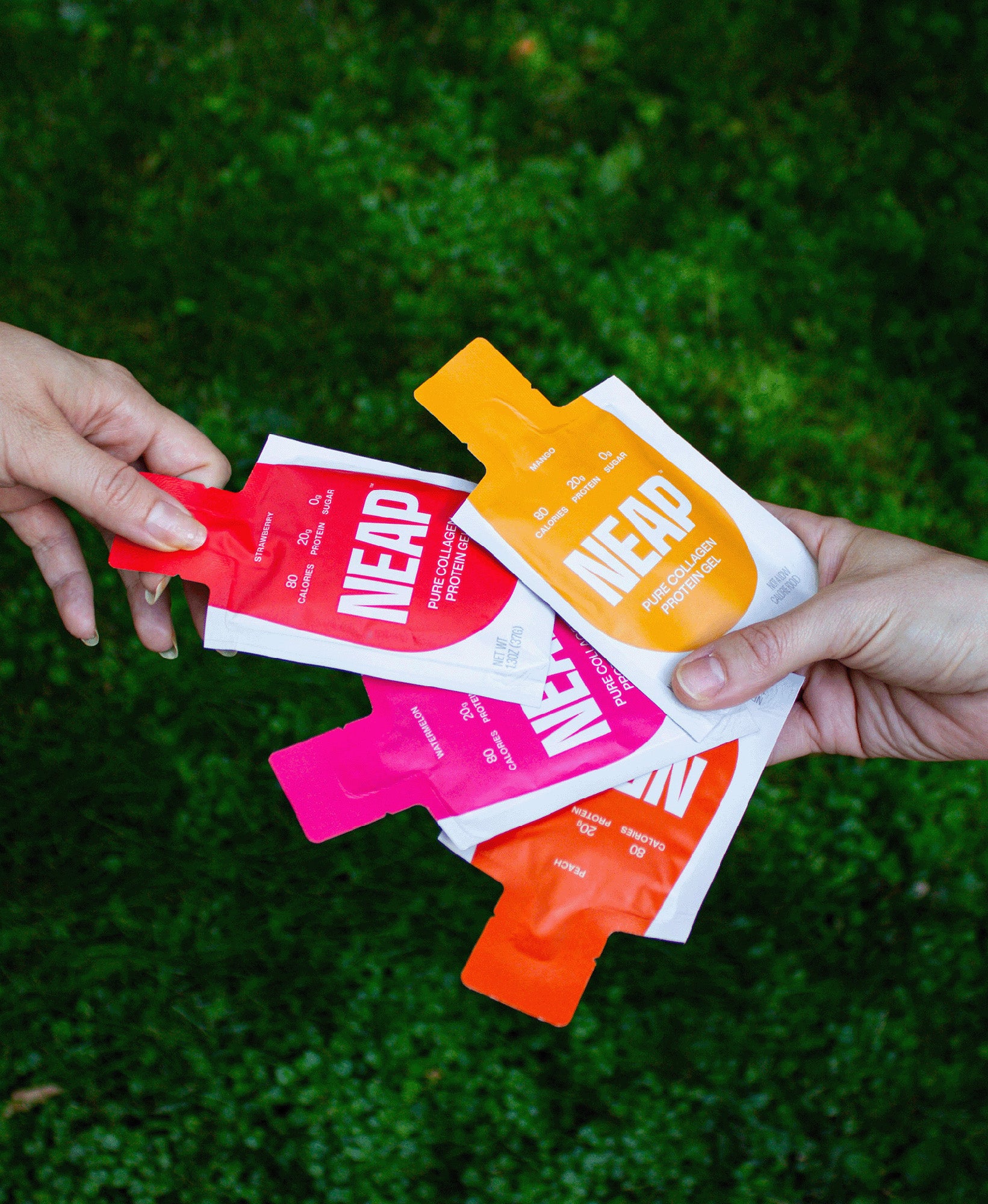 Four NEAP pure collagen protein gel pouches in different flavors (mango, watermelon, strawberry, peach) held in someone's hands as another hand pulls out one pouch