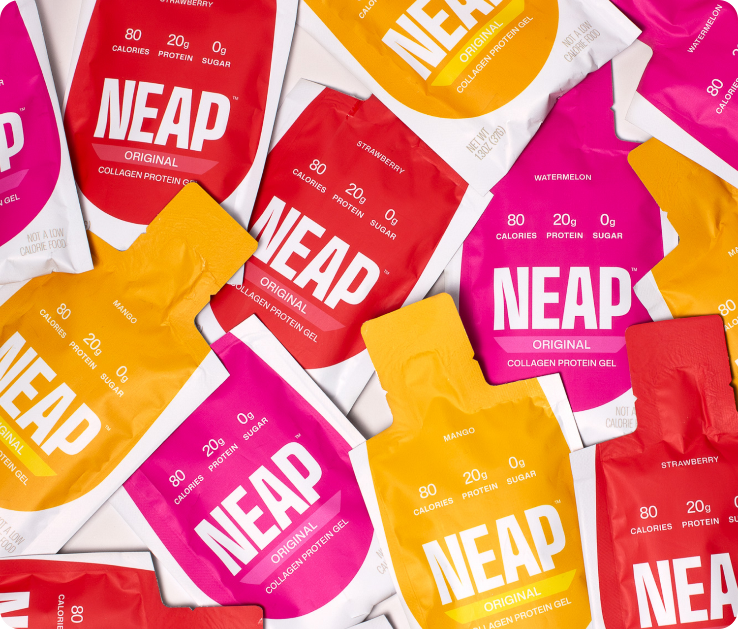 Welcome to NEAP 